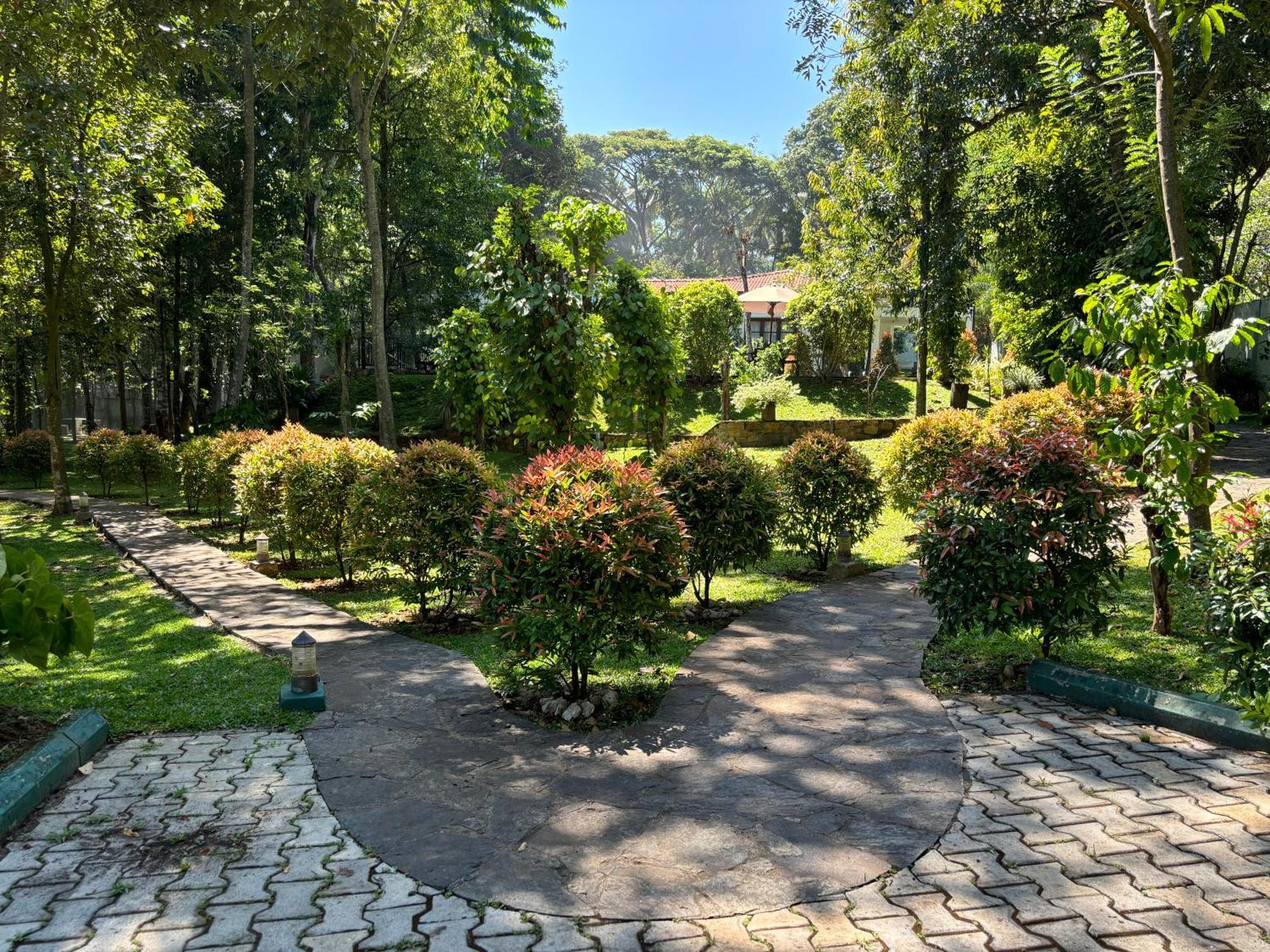 Serenity Villa Digana Kandy Dış mekan fotoğraf